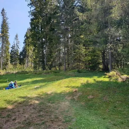 Tatravika Apartmán Kościelisko