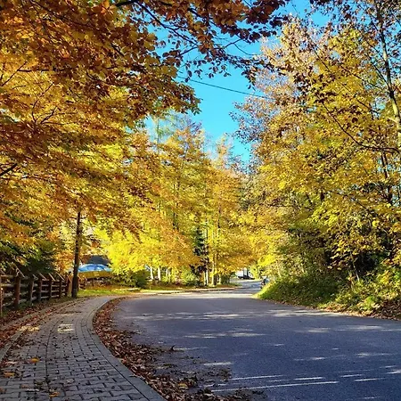 Tatravika Kościelisko