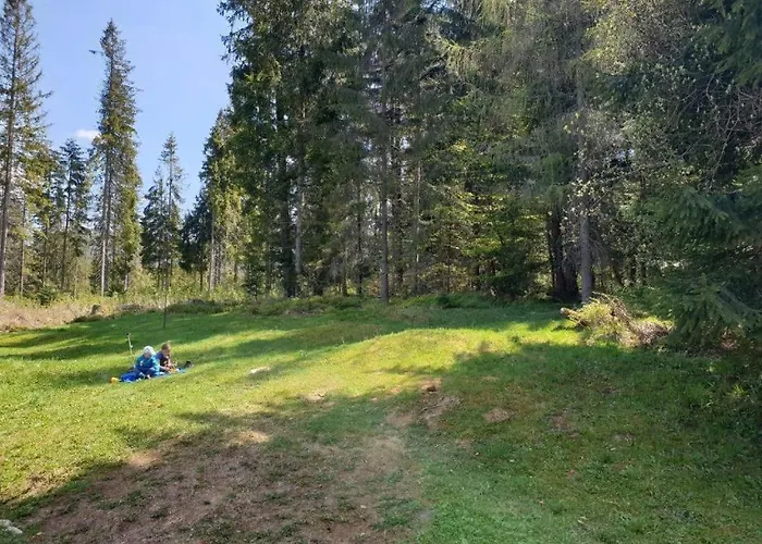 Tatravika Lägenhet Kościelisko