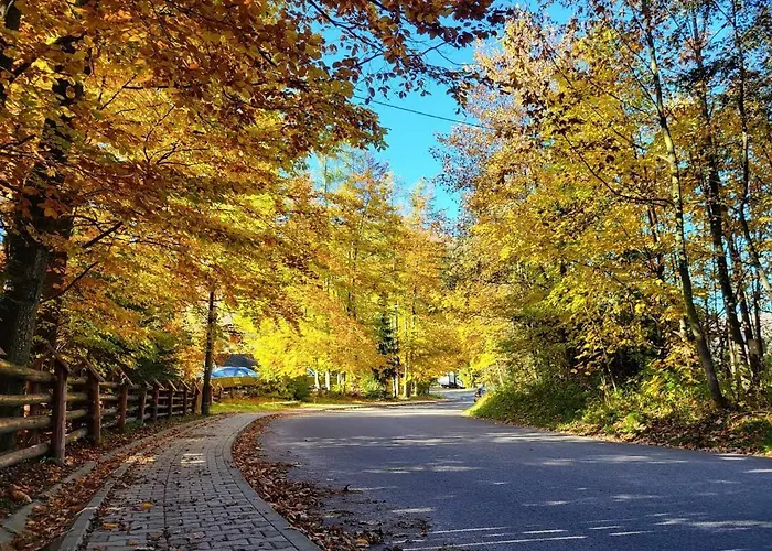 Tatravika Kościelisko