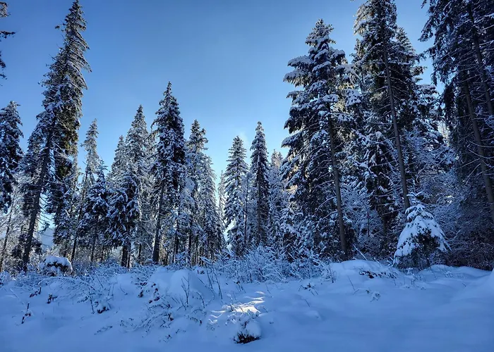 Lägenhet Tatravika Kościelisko